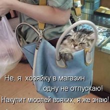 ������ ����������� �� ������