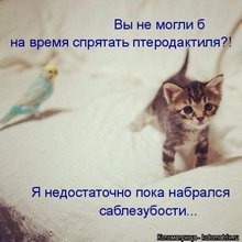 ������ ����������� �� ������
