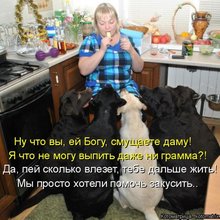 ������ ����������� �� ������