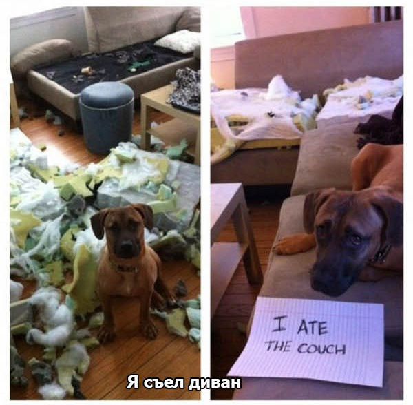 ��������� �����
