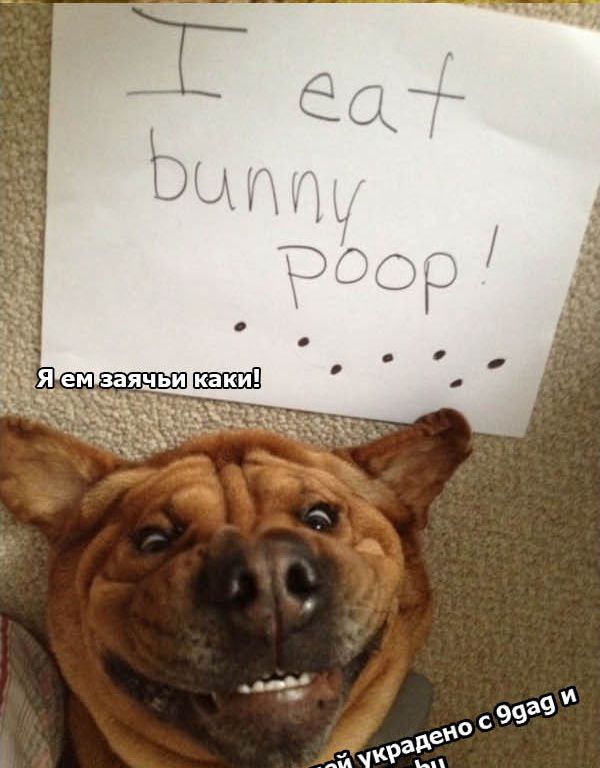 ��������� �����