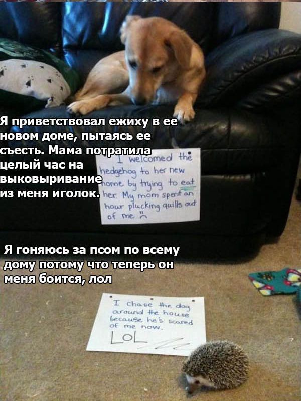 ��������� �����