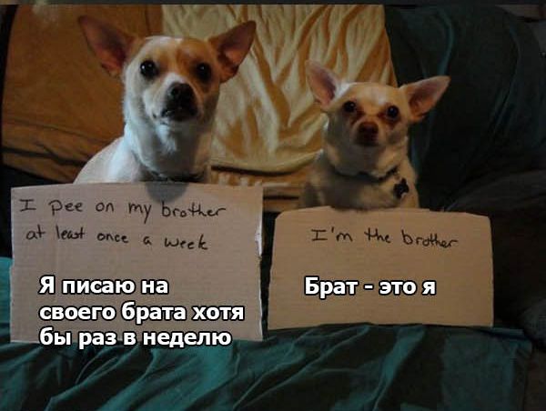 ��������� �����