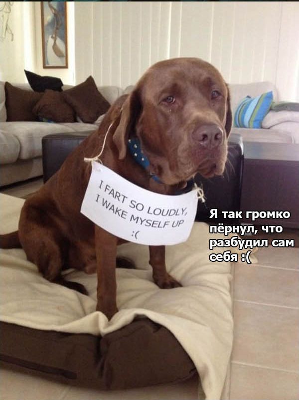 ��������� �����