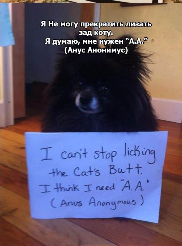 ��������� �����