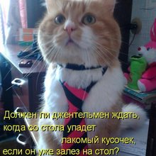 ������ ����������� �� ������