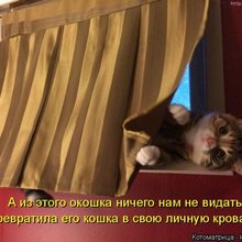 ������ ����������� �� ������
