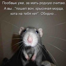 ������ ����������� �� ������