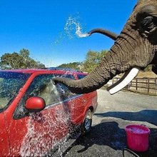 �������� ������������� ��������