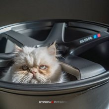 �������� ������������� ��������