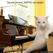 ������ ����������� �� ������