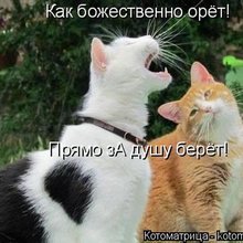 ������ ����������� �� ������