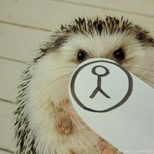 �������� ���� �������� �������