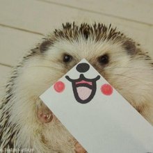 �������� ���� �������� �������