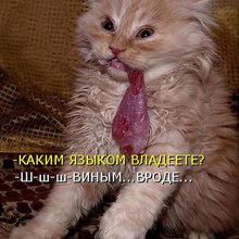 ������ ����������� �� ������