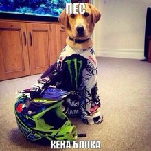 �������� ������������� ��������