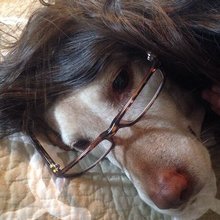 �������� ��������