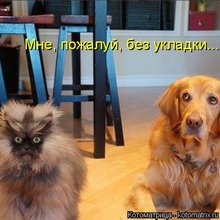 ������ ����������� �� ������