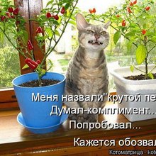 ������ ����������� �� ������