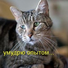 ������ ����������� �� ������