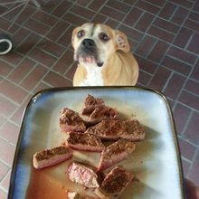 �������� ��������