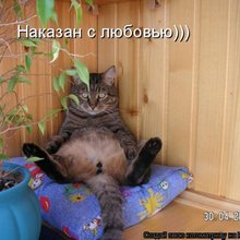 ������ ����������� �� ������