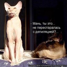 ������ ����������� �� ������
