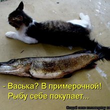 ������ ����������� �� ������