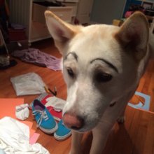 �������� ��������