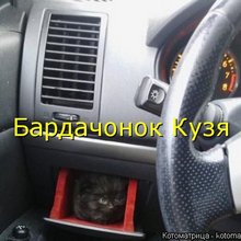 ������ ����������� �� ������