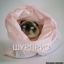 ������ ����������� �� ������