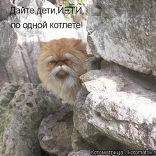������ ����������� �� ������