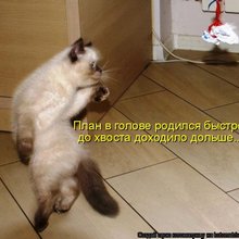������ ����������� �� ������