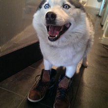 �������� ��������