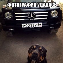 �������� ������������� ��������