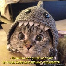 ������ ����������� �� ������