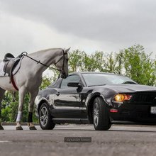 �������� ������������� ��������