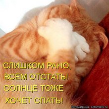 ������ ����������� �� ������