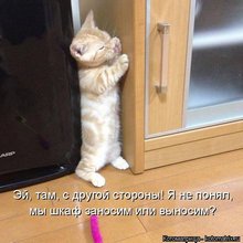 ������ ����������� �� ������