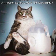 ������ ����������� �� ������