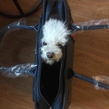 �������� ��������