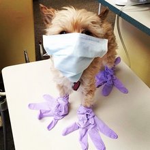�������� ��������