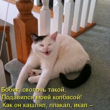 ������ ����������� �� ������