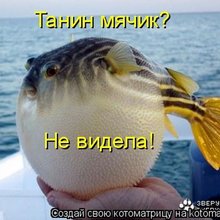 ������ ����������� �� ������