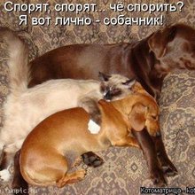 ������ ����������� �� ������