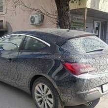 �������� ������������� ��������