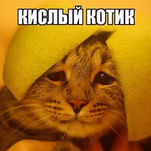 ������� �������� � ���������