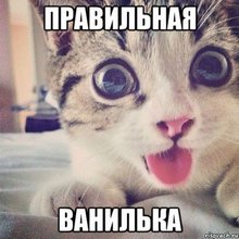 ������� �������� � ���������
