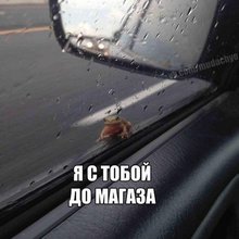 ������� �������� � ���������
