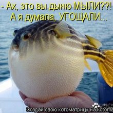 ������ ����������� �� ������